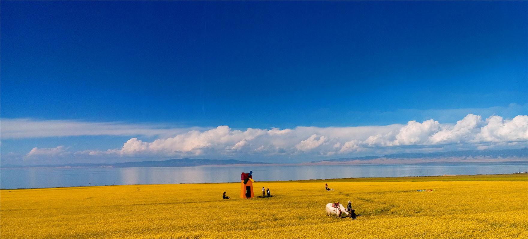 《大美青?！穭㈤?/>
                                    <div   id=