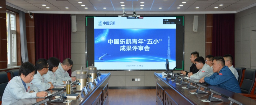 激揚青春智造力！中國樂凱團(tuán)委召開青年&ldquo;五小&rdquo;成果評審會